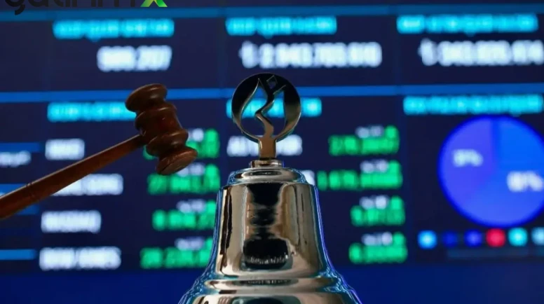 Metropal Halka Arzında Kaç Lot Düştü? İşte Yatırımcı Bazında Dağıtım Sonuçları