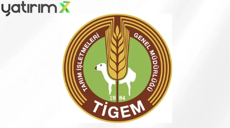 TİGEM 600 Bafra Irkı Küçükbaş Hayvan Satacak: İhale Detayları