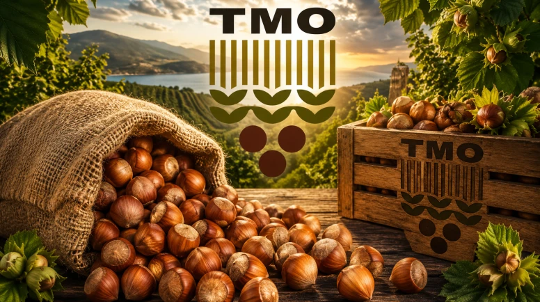 2026 TMO fındık alım fiyatları açıklandı: Giresun 255 TL