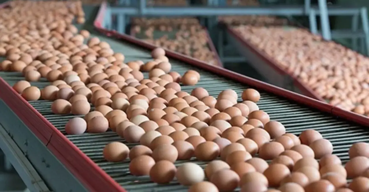 Haber Detay - Kolay İhracat Platformu