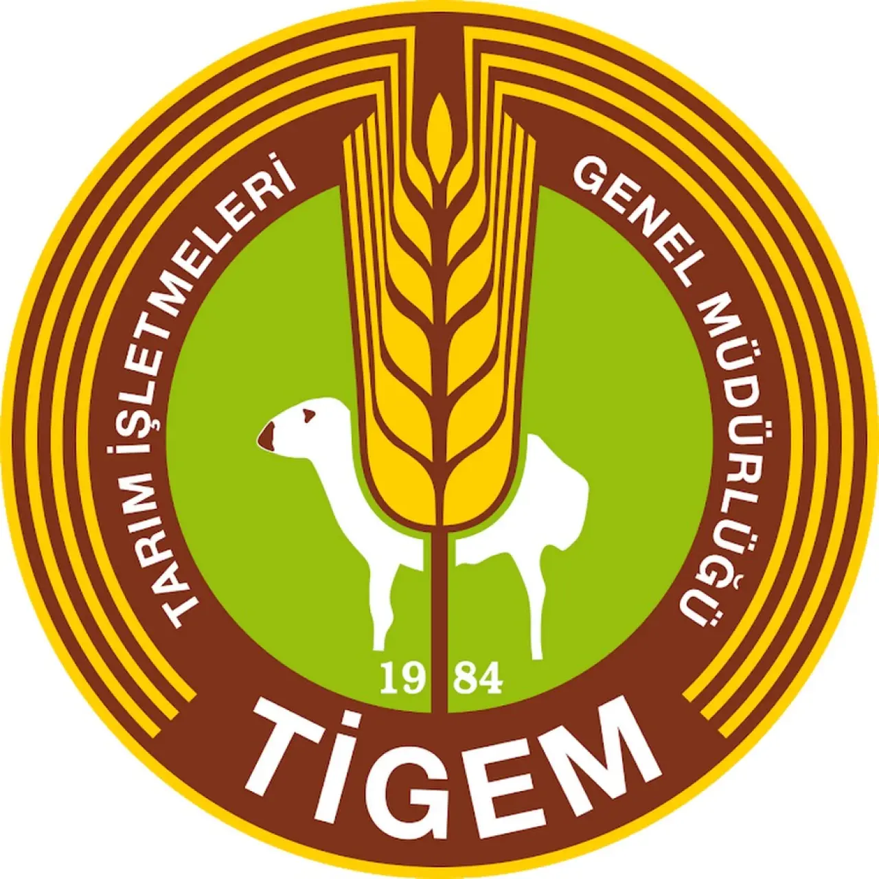 TİGEM - YouTube
