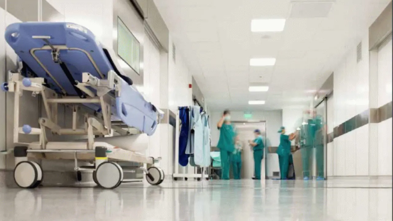 Sağlık Bakanlığı Personel Alımları Başladı: Ordu'da 141 Kişi Alınacak -  Hayat Gazetesi Ordu