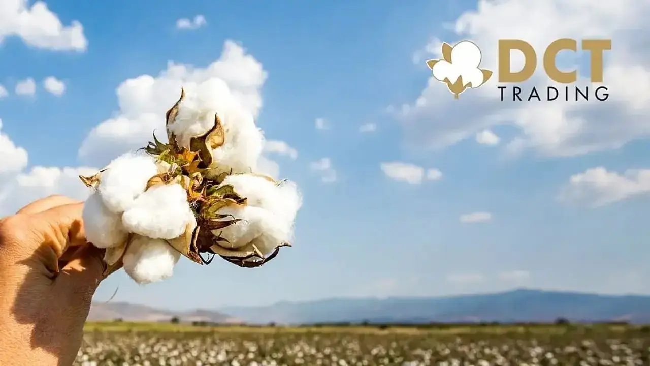 İş Yatırım'dan detaylı DCT Trading (DCTTR) analizi