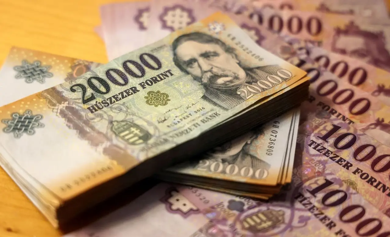 Macaristan euro için düğmeye bastı! Ulusal para birimi tarihe karışabilir
